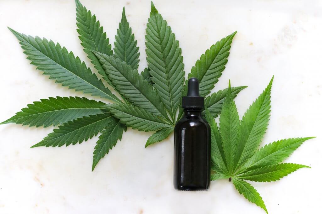 best cbd oil for dogs