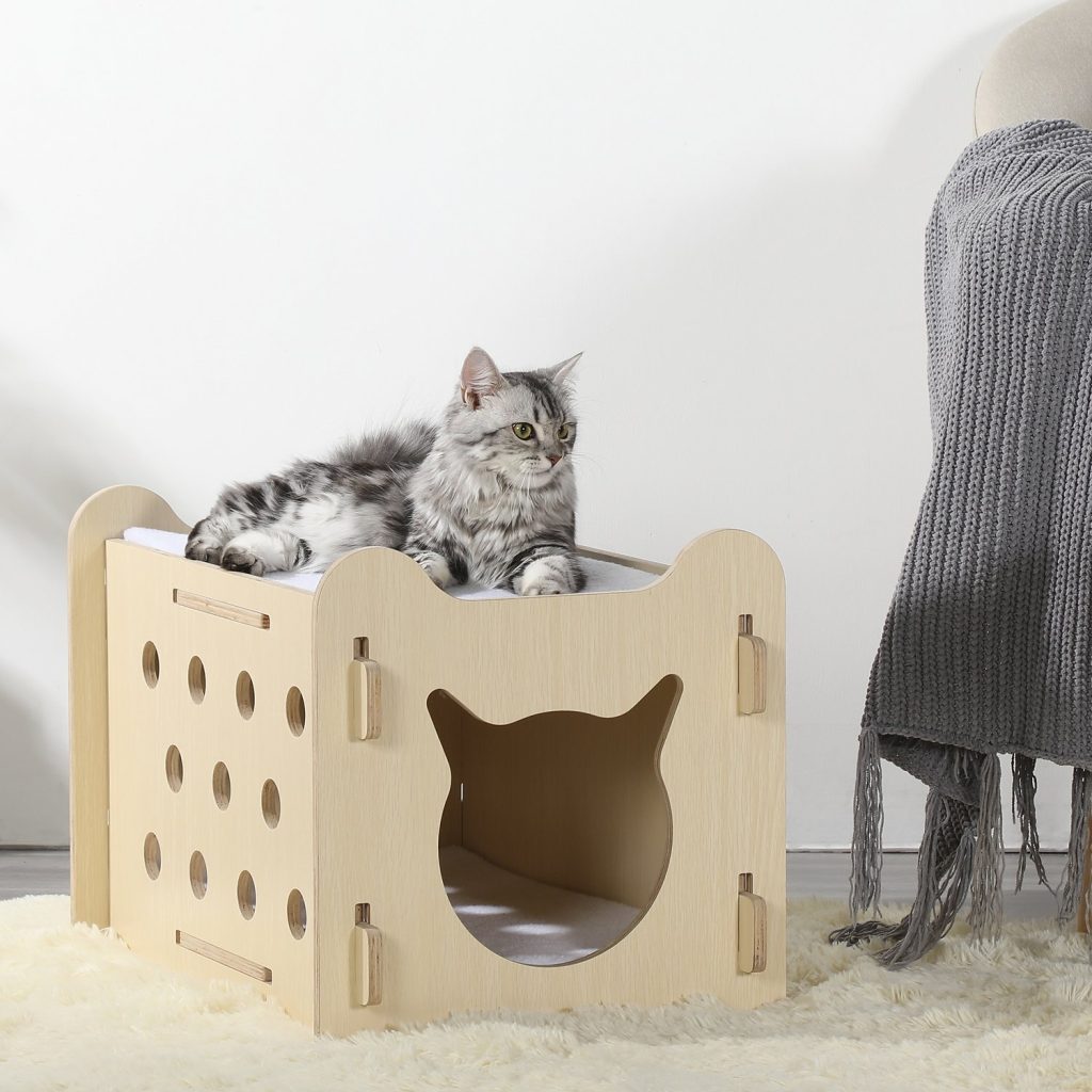 Cat House